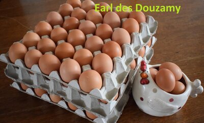 30 oeufs gros