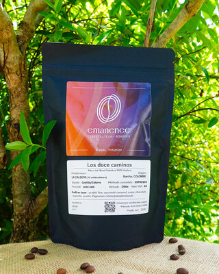 Café los doce caminos 250g grain