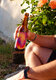 Cold brew sunset - image 3
