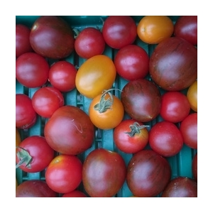 Tomates cerises en mélange 250 gram