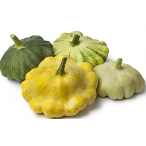 Courge patisson