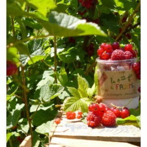 Le petit pot de fruits framboise cassis