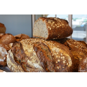 Le bon aux graines (campagne aux graines)