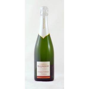 Champagne mannoury brut tradition