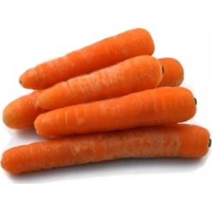 Carottes (récolte 2021 )