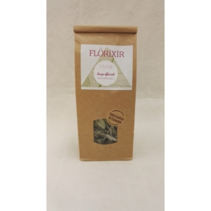 Tisane sauge officinale