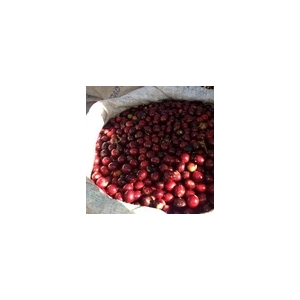 San rafael du costa rica