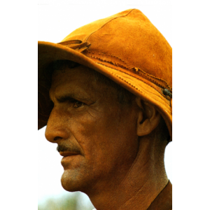 Sul de minas du brésil