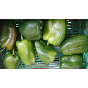 Poivrons mélange par 300 gr