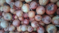 Oignons jaune par 500 gr