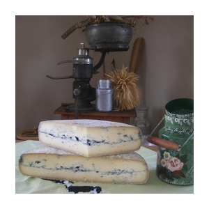 Cendre du vogelgesang