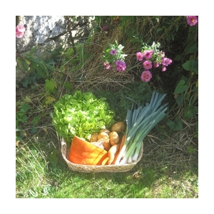 Panier de légumes de la semaine 'le duo'