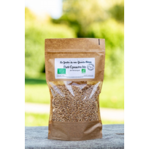 Petit épeautre 500g