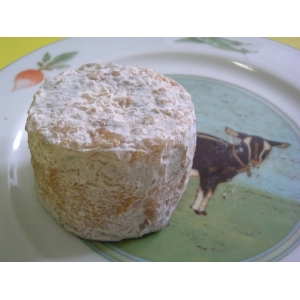 Crottin nature pur chèvre mi-sec