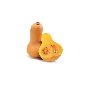 Butternut (bio)