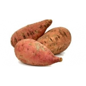 Patate douce (bio)