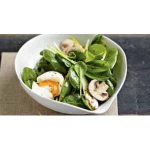 Pousse d épinard bio