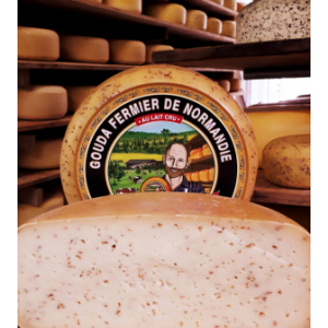 Gouda au cumin jeune