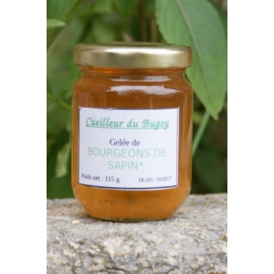 Gelée de bourgeons de sapin