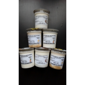 Panel n°4 12 yaourts aux fruits