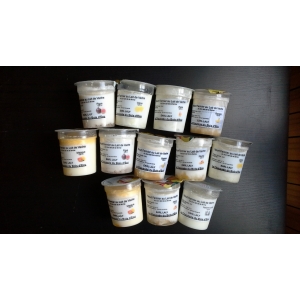 Panel n°3 12 yaourts aux fruits