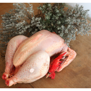 Poulets de 100 jours bio 1.7 à 2 kg