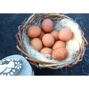 œufs issus de l'agriculture biologi