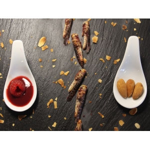 10 criquets enrobage framboise aux éclats d'amandes torréfiées