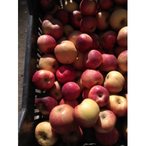 Attention!!! julietbio. 2 choix compote tarte