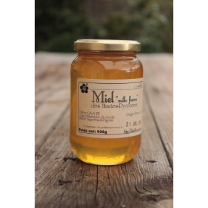 Miel mille fleurs - 500g - liquide