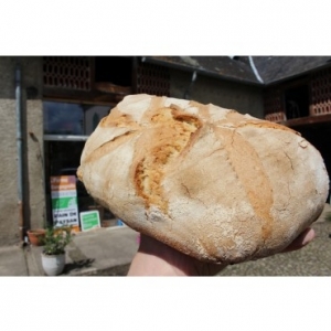 Grosse miche de pain paysan (cuit du jour)