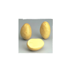 Pomme de terre nouvelle minette