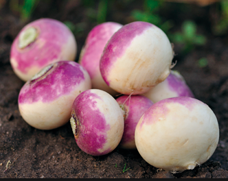 Navets  500g
