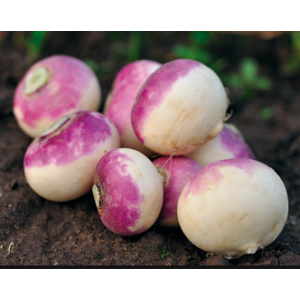 Navets nouveaux 500g