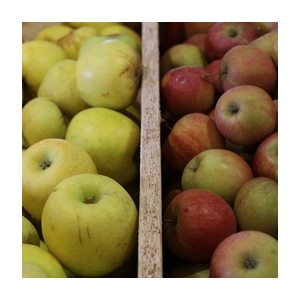 Assortiment de pommes bio