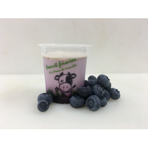 A*yaourt à la myrtille