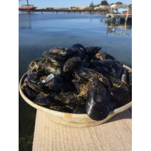 1 kg moules de bouzigues