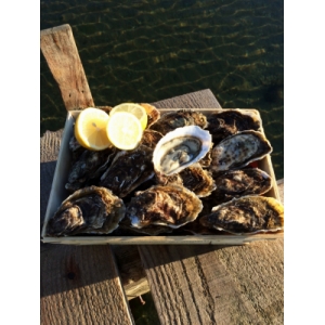 Bourriche d'huîtres