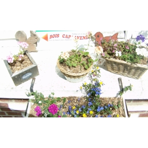 Paillage mini plaquettes bois pour jardinières et rempotage d'intérieur(sacs4 l)