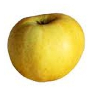 Pomme chantecler ( sachet 3kg)