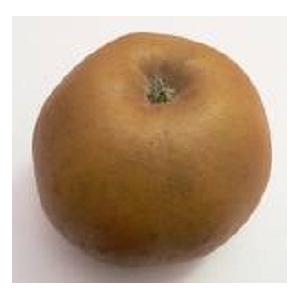 Pomme reinette grise du canada ( 2kg)