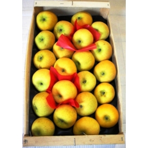Pomme chantecler plateau de 4.5kg