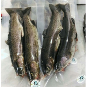 Truites portion vidées