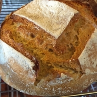 Pain bio au sesame - 1 kg