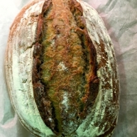 Pain bio aux noix - 1 kg