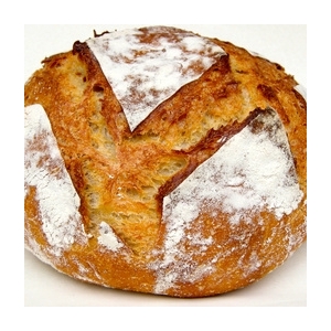 Pain bio au blé khorasan