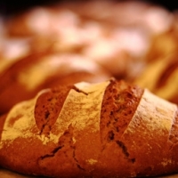 Pain bio de pur petit épeautre t110