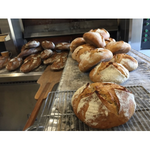 Pain bio épeautre 500gr