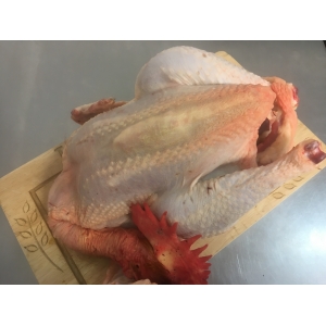 Poulet fermier