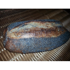 Pain bis au pavot
